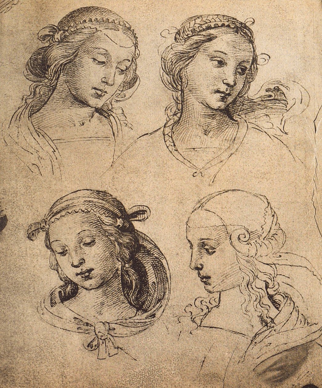 Estudio de cuatro rostros femeninos de Raffaello Sanzio Raphael