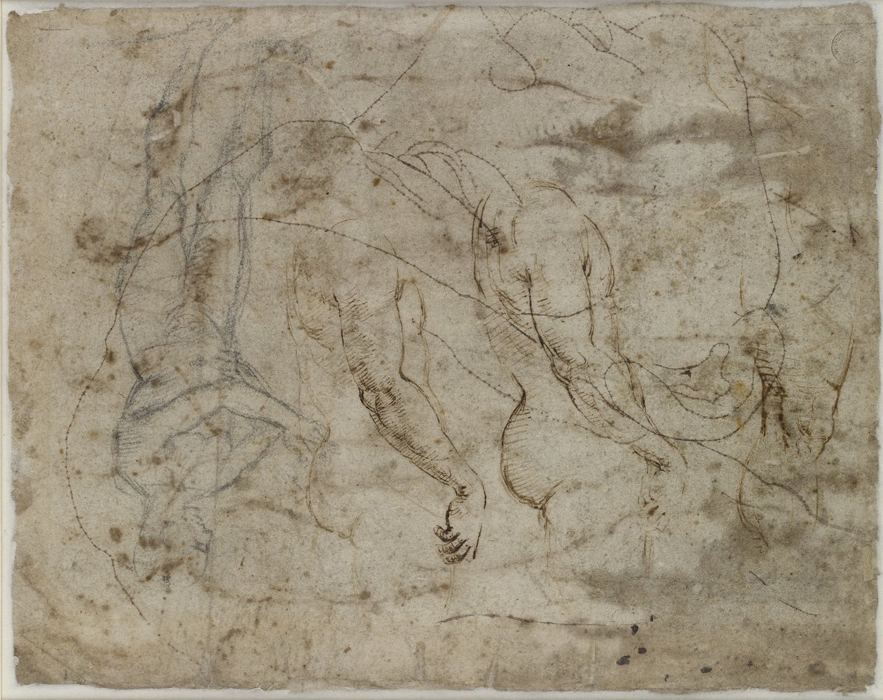 Dos estudios de brazos, un perfil mirando hacia arriba y una figura de pie (verso) de Raffaello Sanzio Raphael