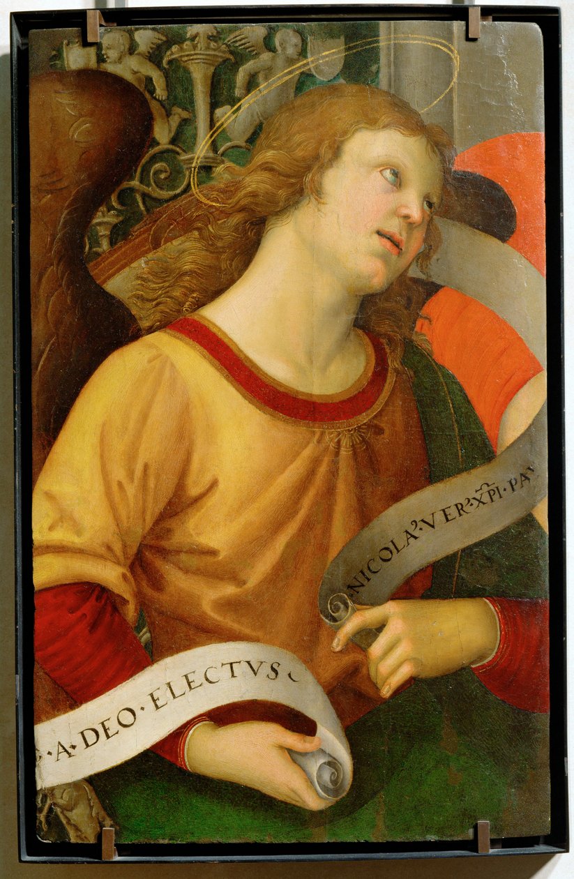 Ángel ... de Raphael (1483 1520)