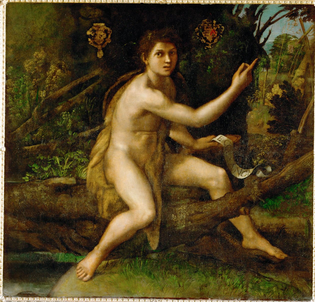San Juan Bautista en el desierto, mostrando el árbol que ... de Raphael (1483 1520)