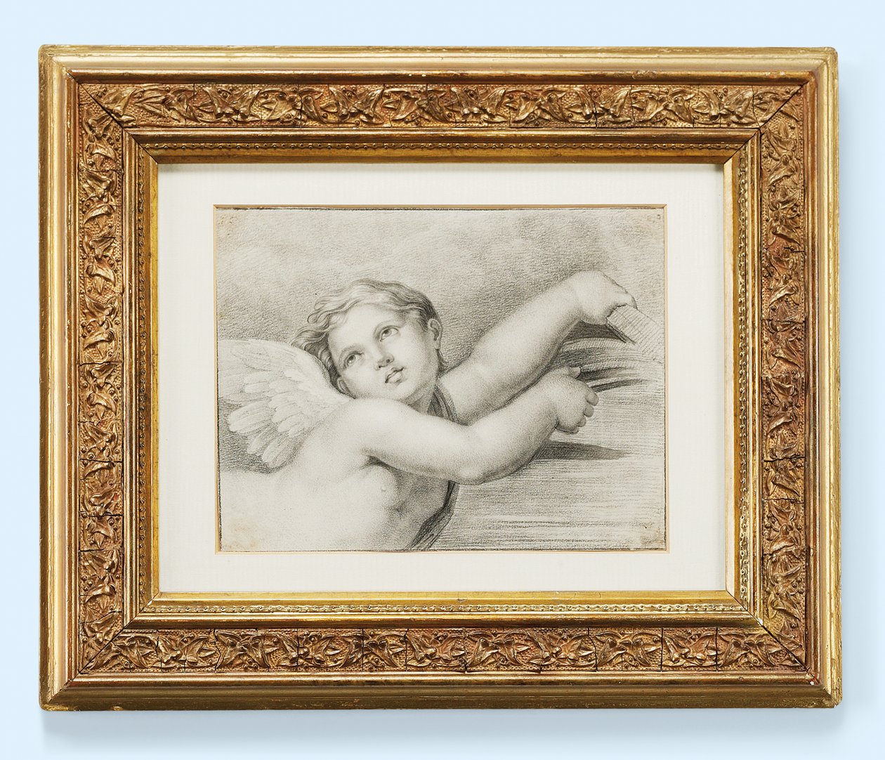 Cabeza de un putto de after Raphael