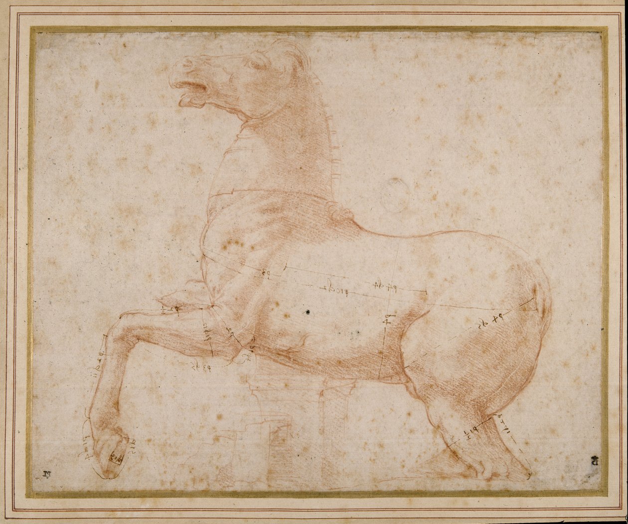 Estudio de un caballo de Raphael