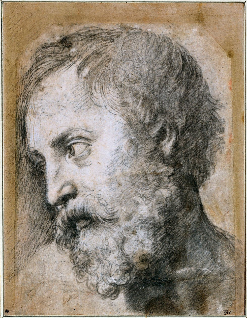 Cabeza de un Apóstol Estudio para la Transfiguración, 1519-1520 de Raffaello Sanzio Raphael