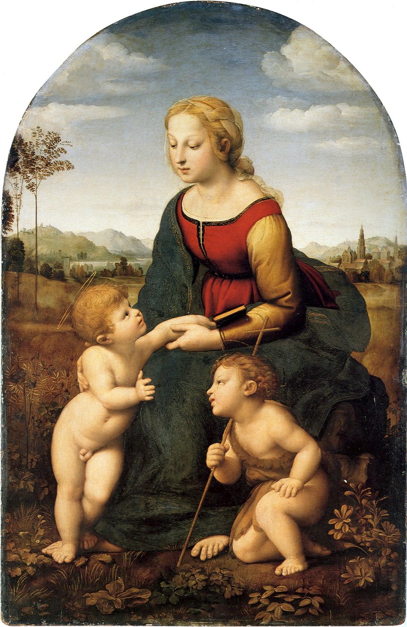 Virgen con el Niño y San Juan Bautista

Título alternativo  La belle jardinière de Raphael