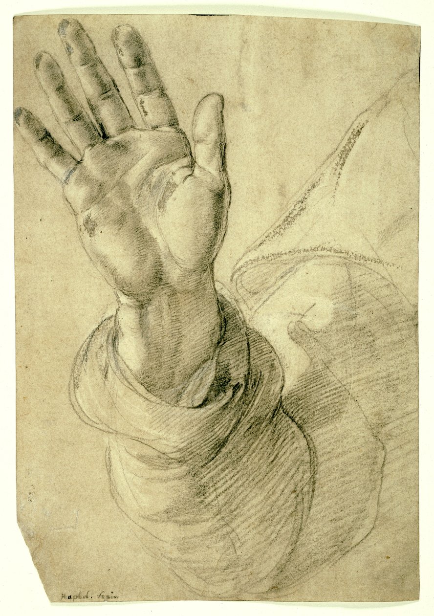 Mano derecha levantada, con la palma hacia afuera: Estudio para San Pedro, 1518-20 de Raphael
