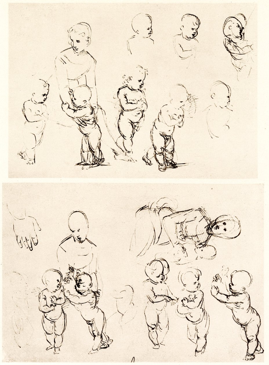 Varios diseños para Madonna en el campo de Raffaello Sanzio Raphael