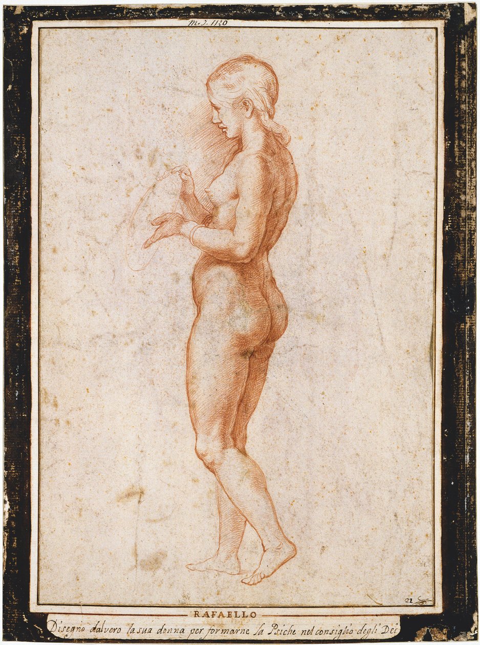 Figura femenina joven de perfil, ca 1517 de Raphael