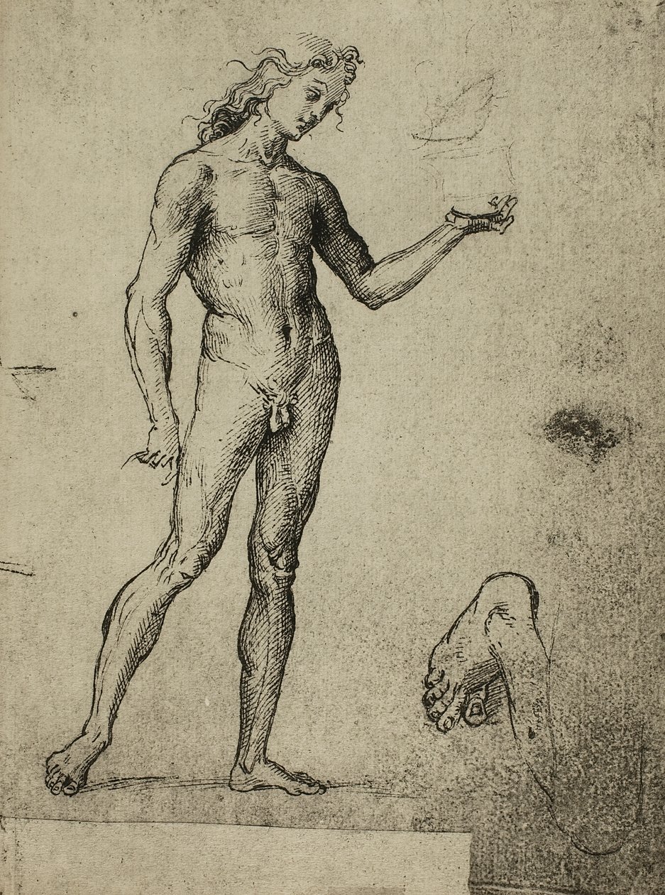 Estudio de desnudo masculino; dibujo de Rafael. Gallerie dell
