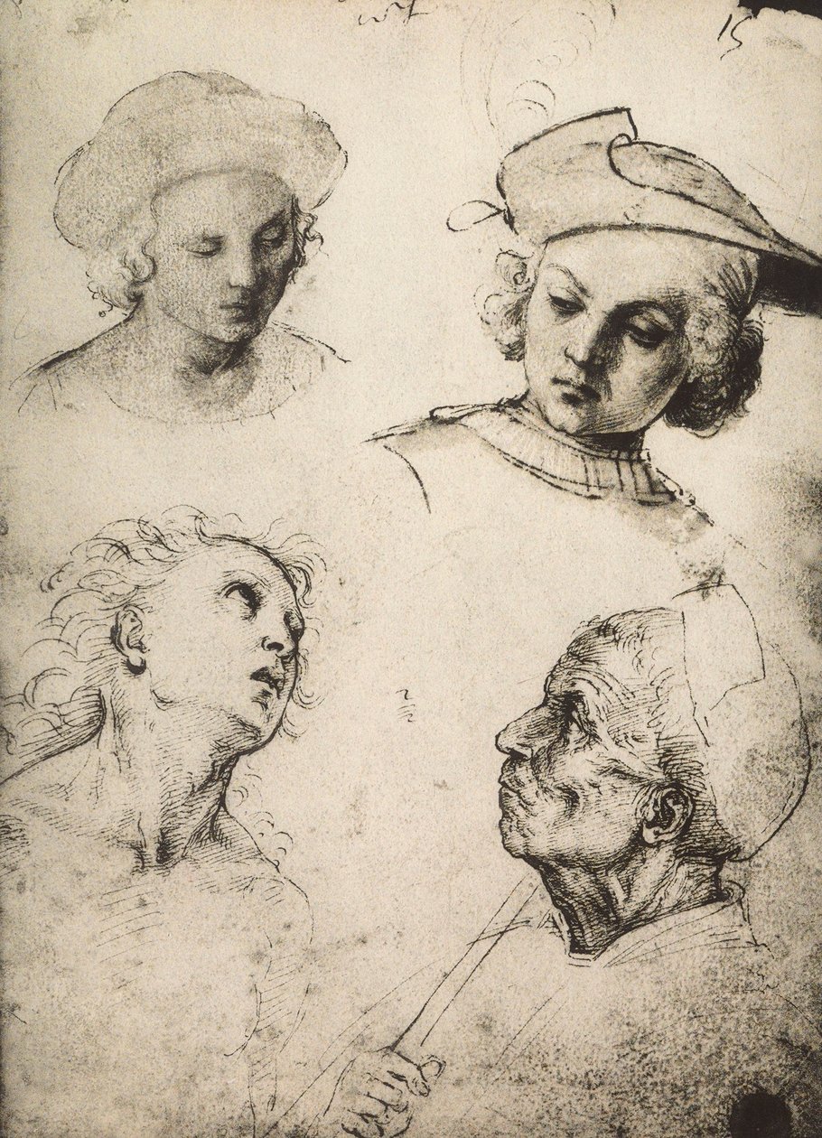 Estudio de cuatro rostros masculinos de Raffaello Sanzio Raphael