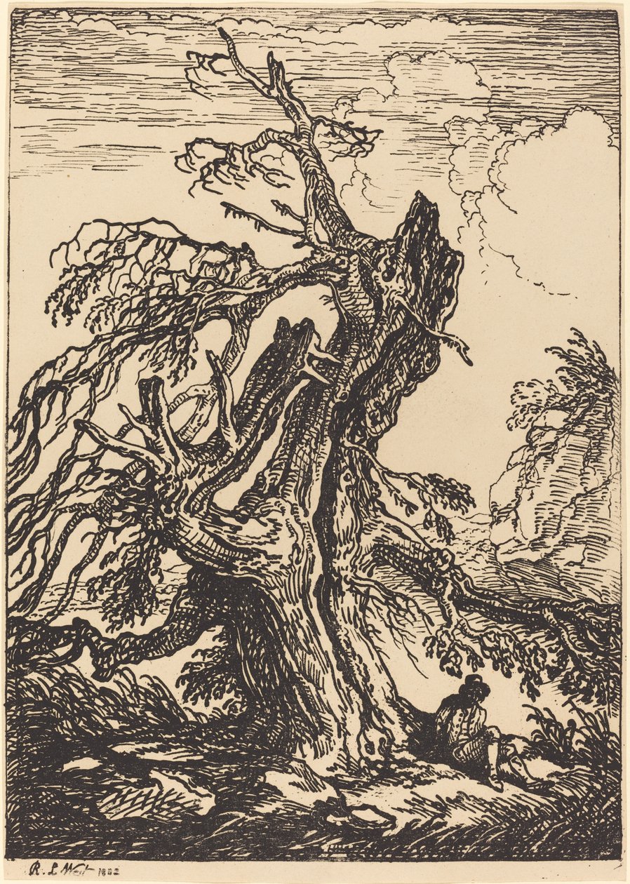 Estudio de un árbol de Raphael Lamar West