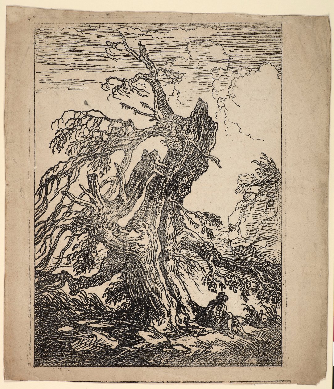 Estudio de un Árbol de Raphael Lamar West