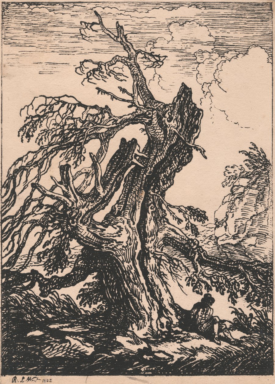 Estudio de un árbol de Raphael Lamar West