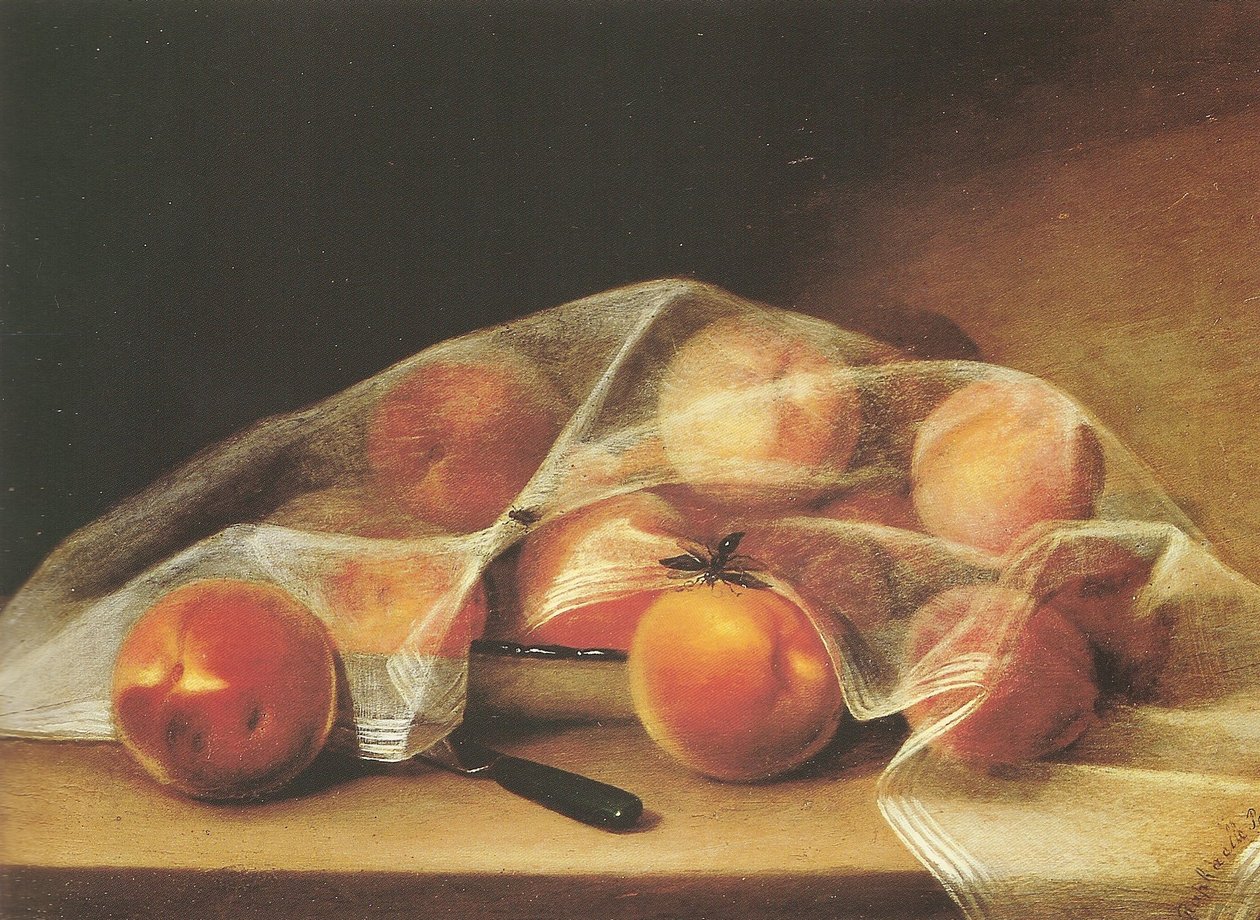 Trozos de fruta con melocotones cubiertos por un pañuelo-raphaelle peale de Raphaelle Peale