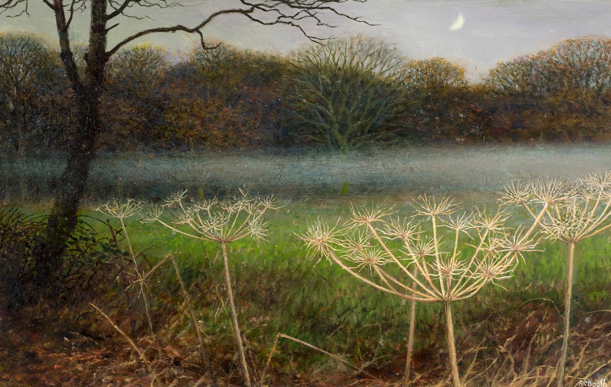 Diciembre al atardecer: niebla sobre los campos (óleo sobre tabla) de Raymond Booth