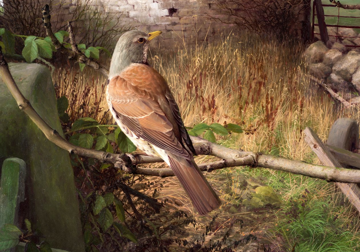 Fieldfares en Eccup, West Yorkshire de Raymond Booth