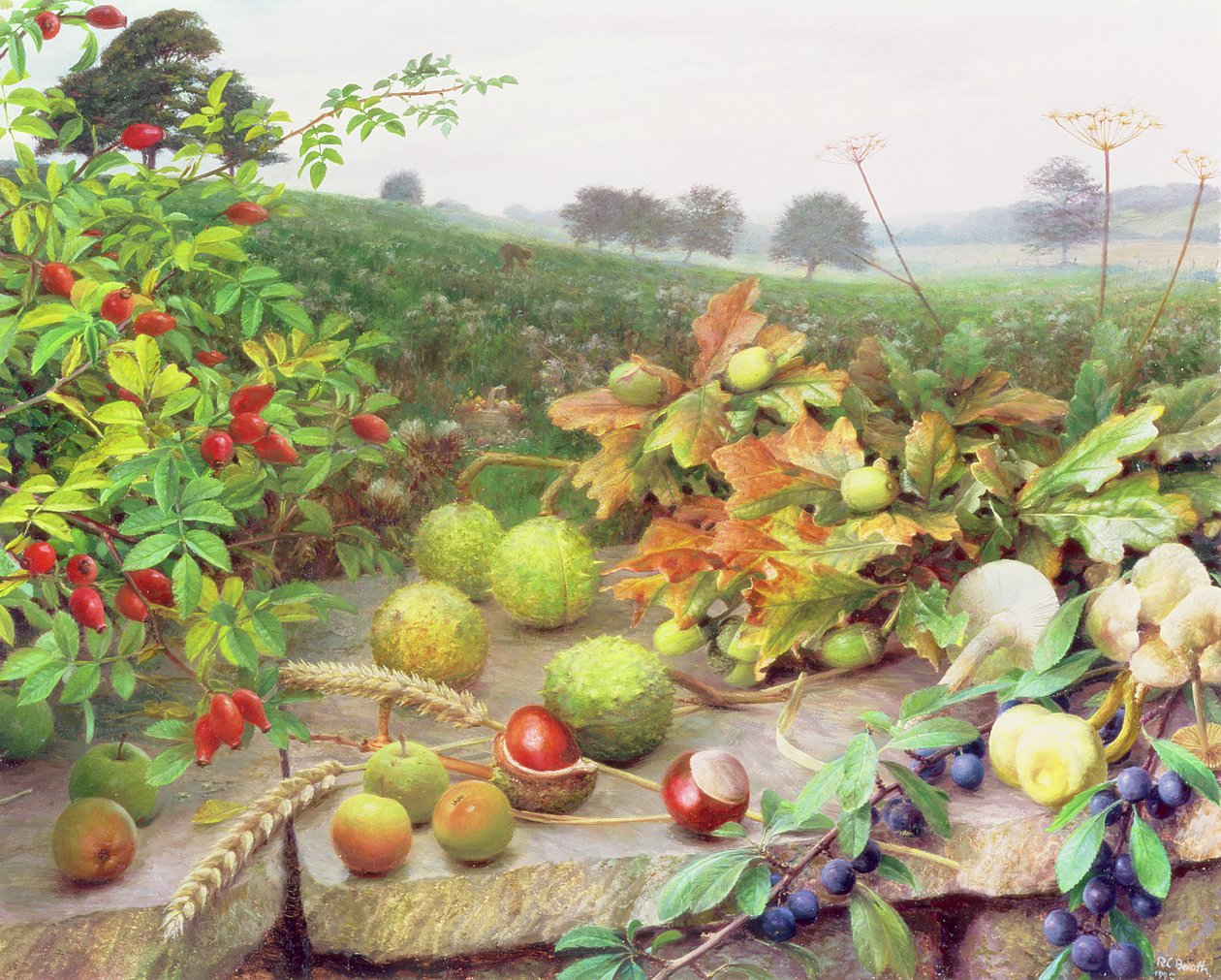 Recogida de la cosecha silvestre de Raymond Booth
