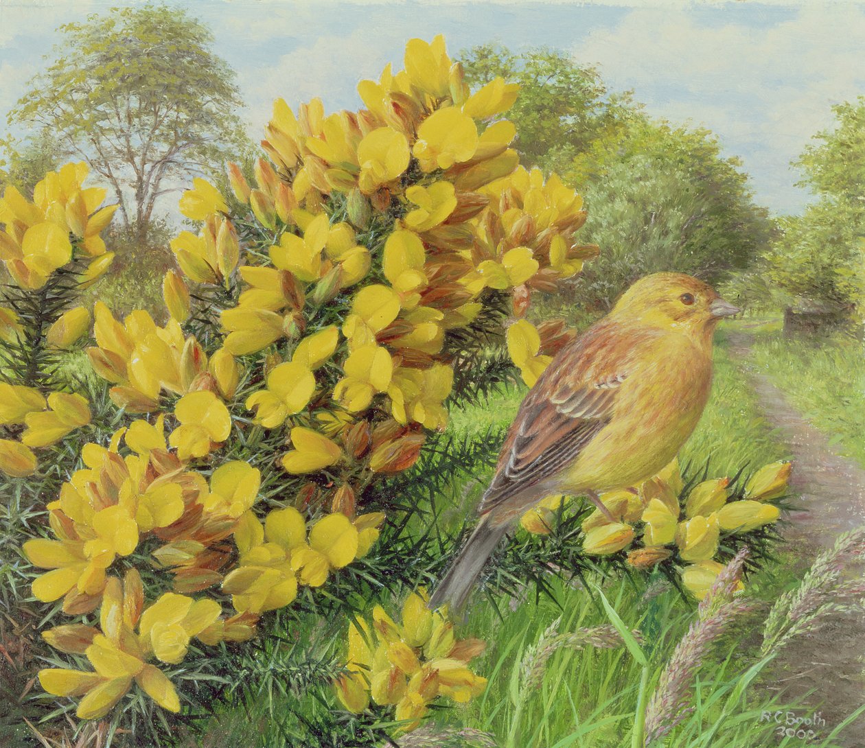 Gorse and Yellow Hammer, 2000 (óleo sobre tabla) de Raymond Booth