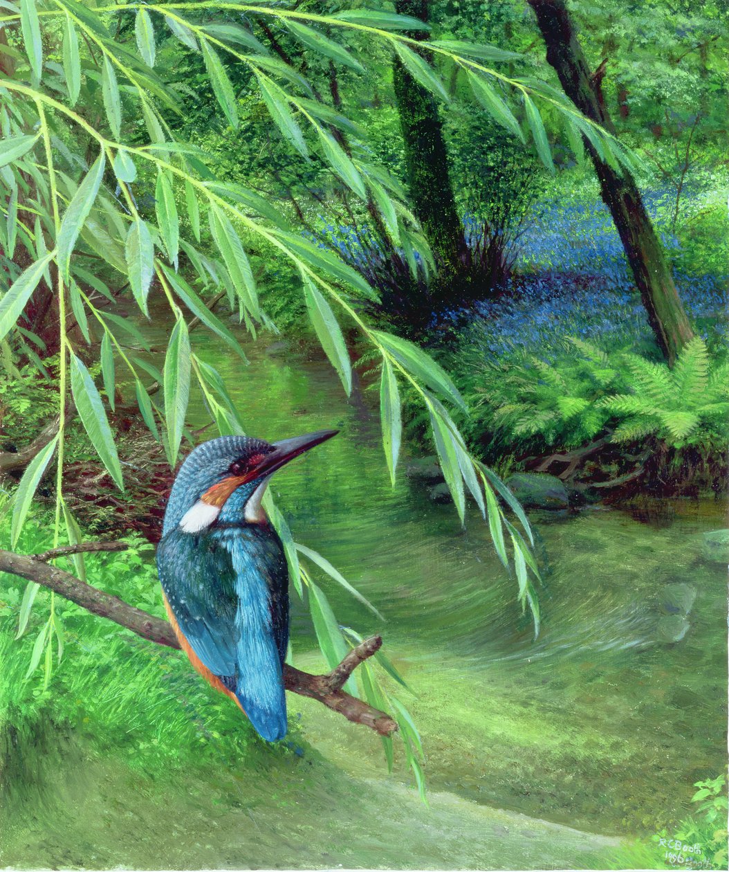 Kingfisher de Raymond Booth