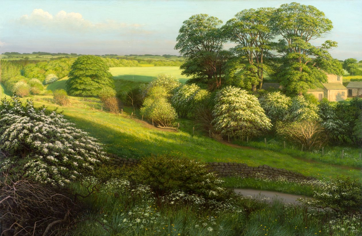 Paisaje de Raymond Booth