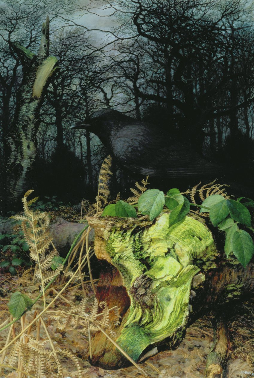 Mediados de invierno en el bosque de Raymond Booth