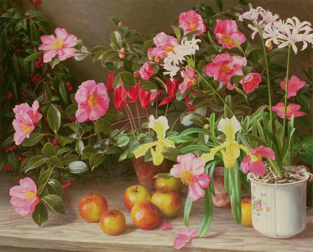 Flores de noviembre de Raymond Booth