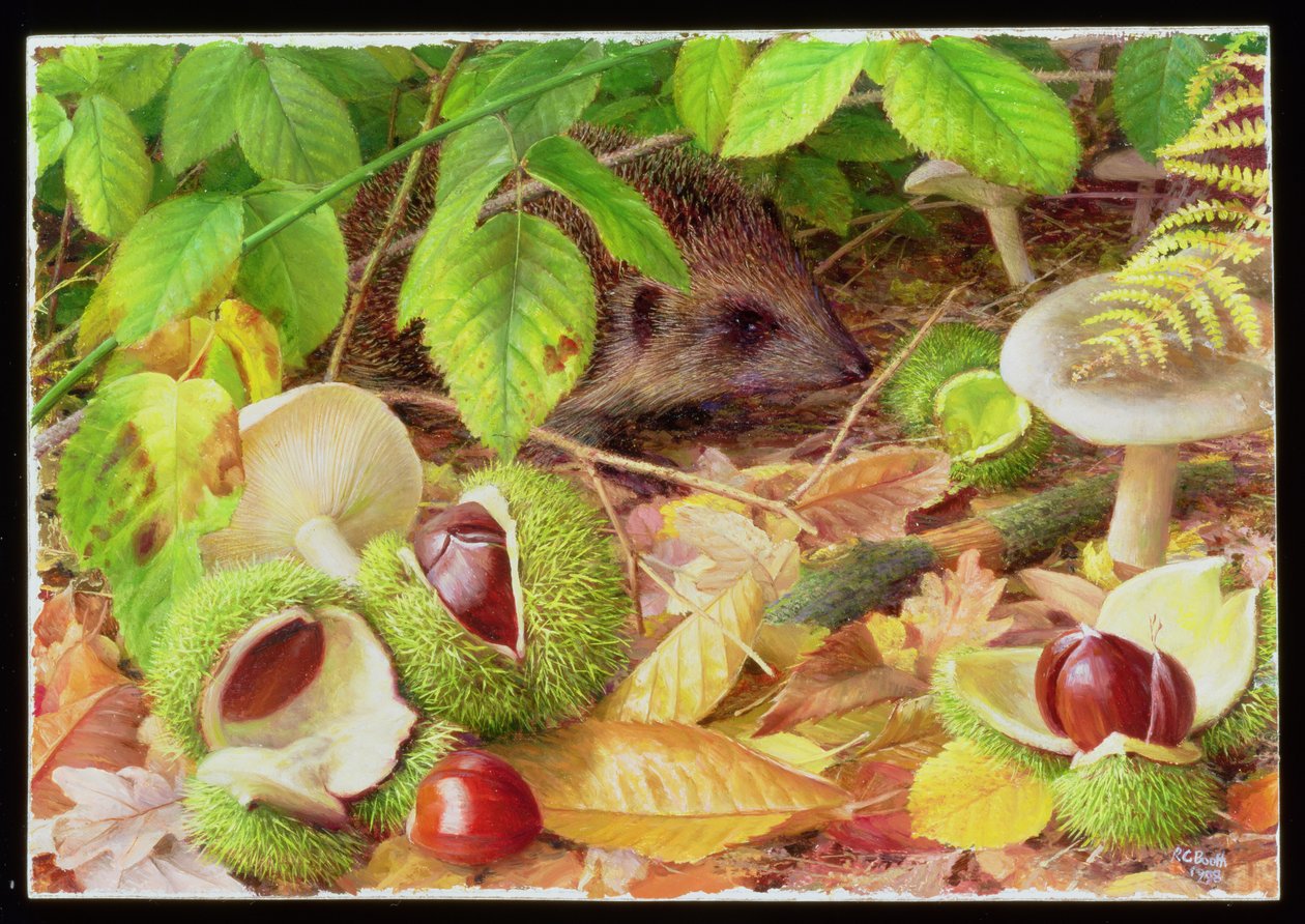 En el bosque en octubre de Raymond Booth