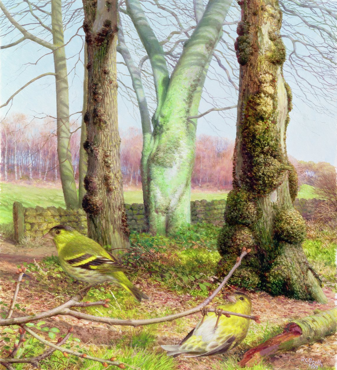 Lúganos en una mañana de marzo de Raymond Booth