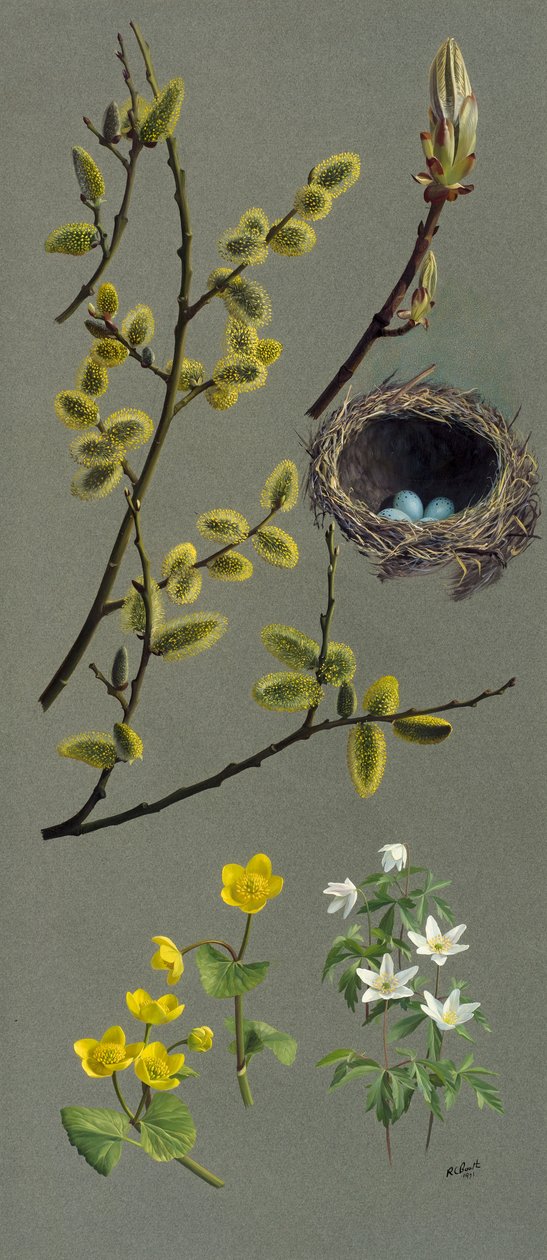 Estudios de primavera (óleo sobre papel) de Raymond Booth
