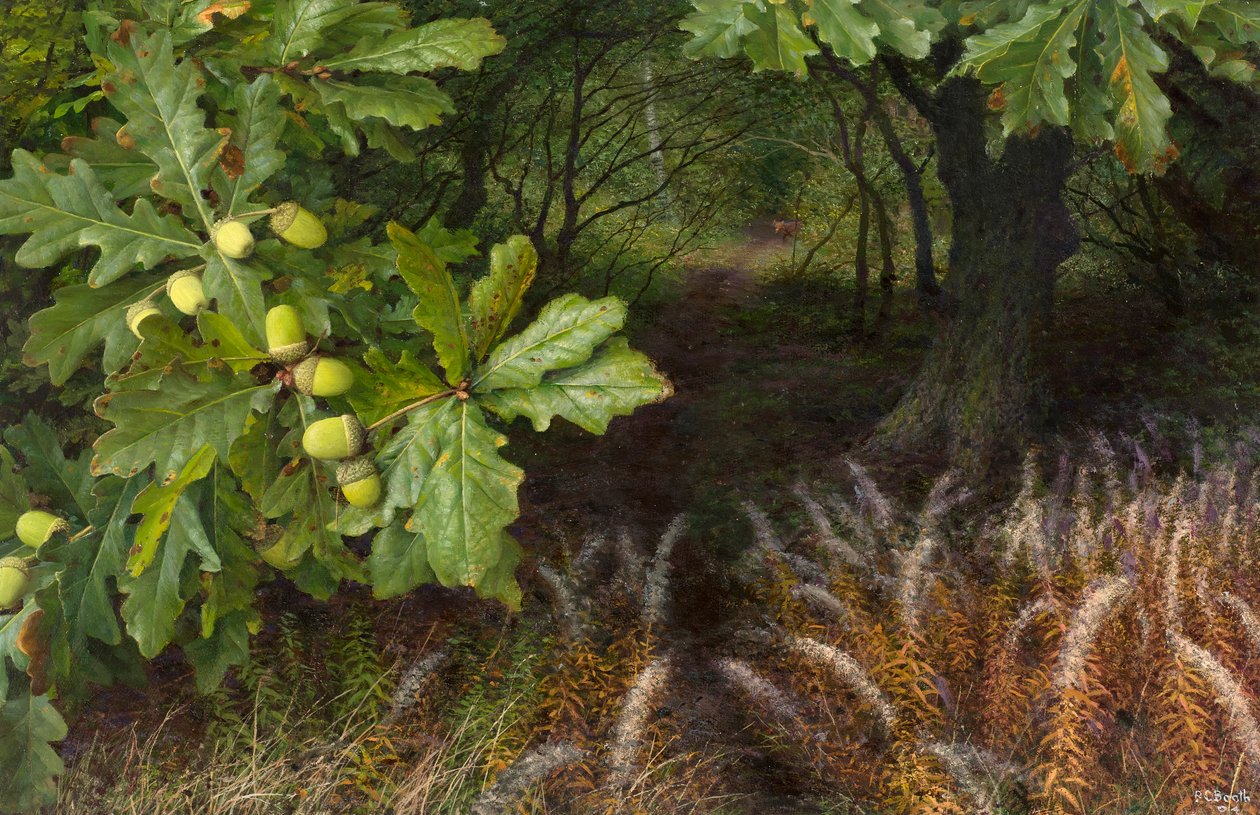 El camino hacia el bosque (óleo sobre tabla) de Raymond Booth