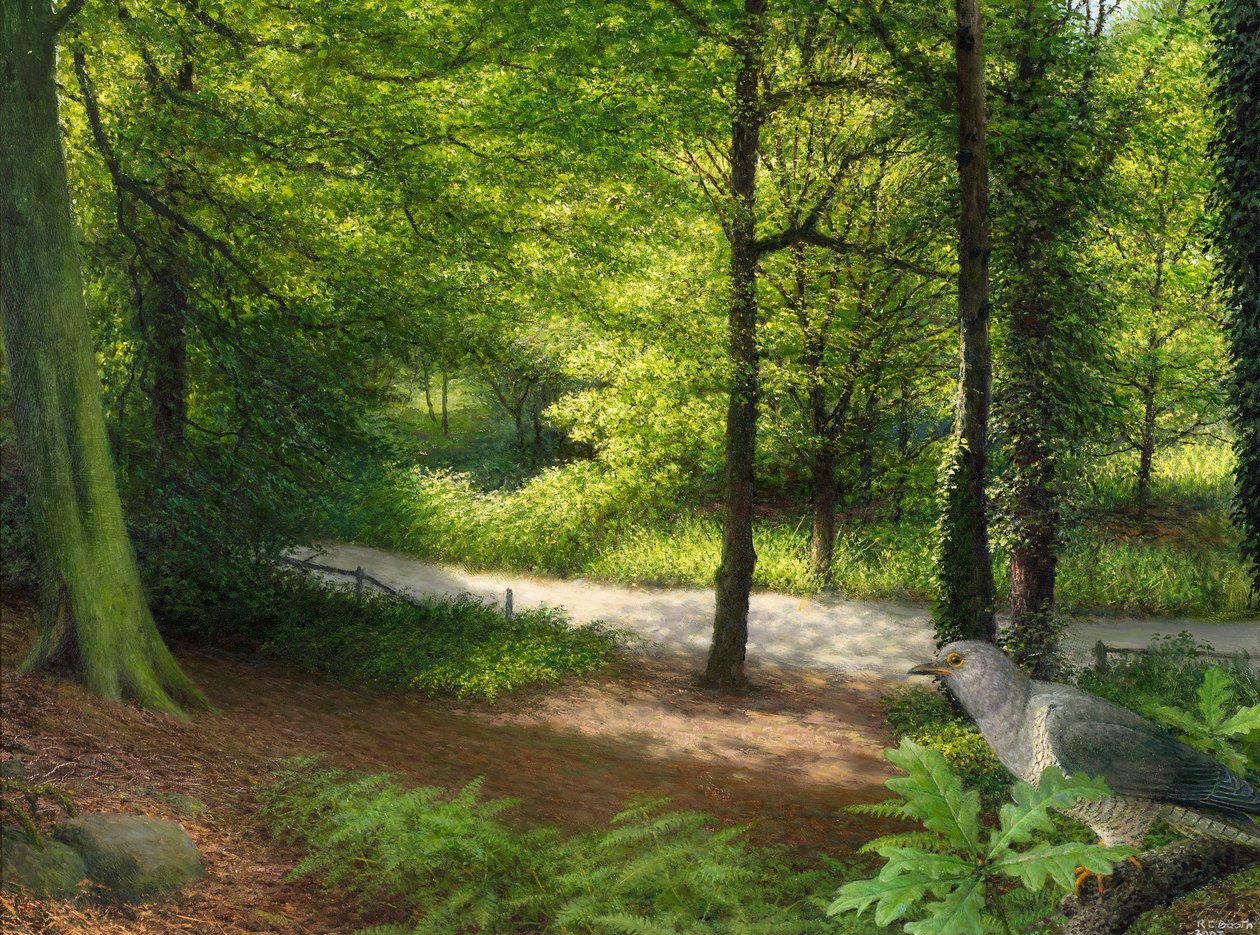 Bosque con paloma bravía de Raymond Booth