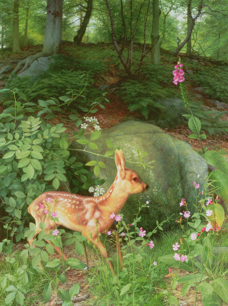 Corzo joven en el bosque de Adel de Raymond Booth