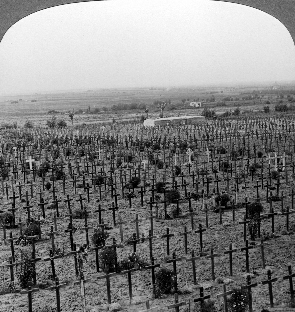 Cementerio Tyne Cot, Cresta de Passchendaele, Bélgica, Primera Guerra Mundial, c1918-1919 de Realistic Travels Publishers