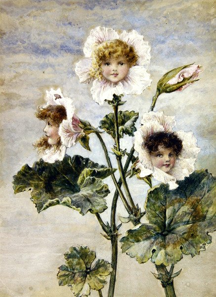 Geranio y Guisante Dulce - Niños Flor - un par de Rebecca Coleman