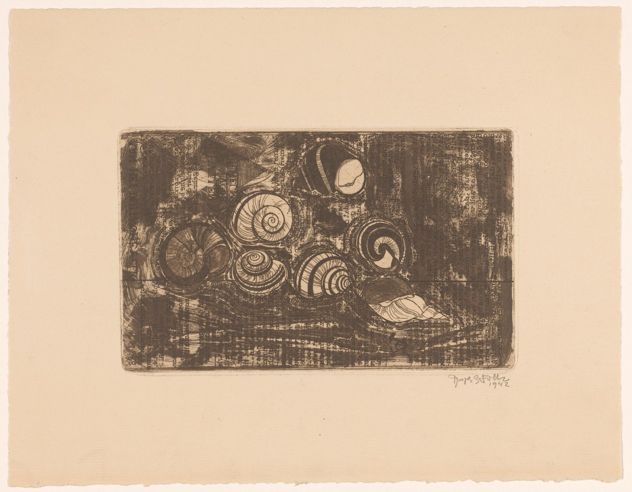 Siete conchas de Reijer Stolk (signed by artist)