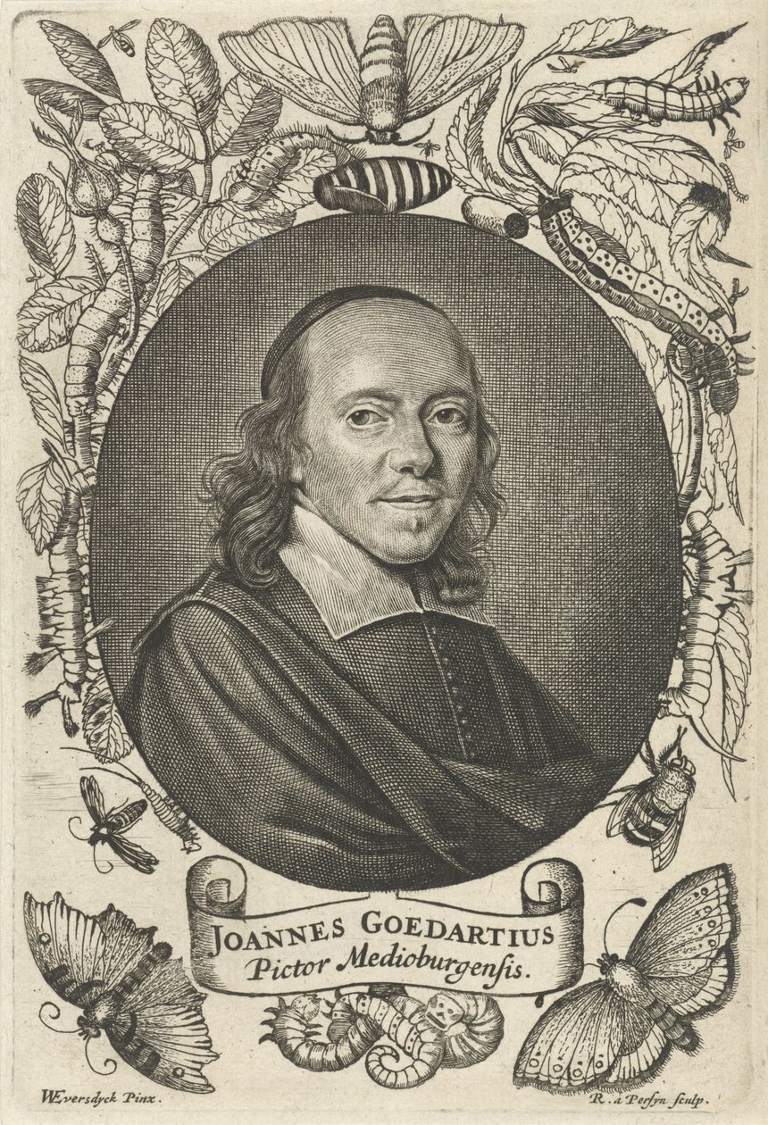 Johannes Goedaert (1617-1668) de Middelburg de Reinier van Persijn