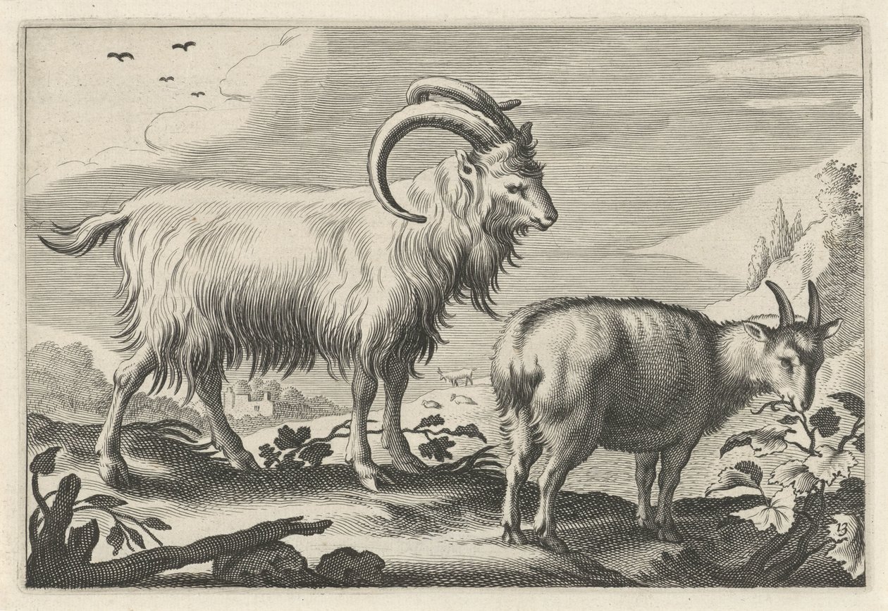 Paisaje montañoso con dos cabras Diversa Animalia Quadrupedia (título de la serie) de Reinier van Persijn