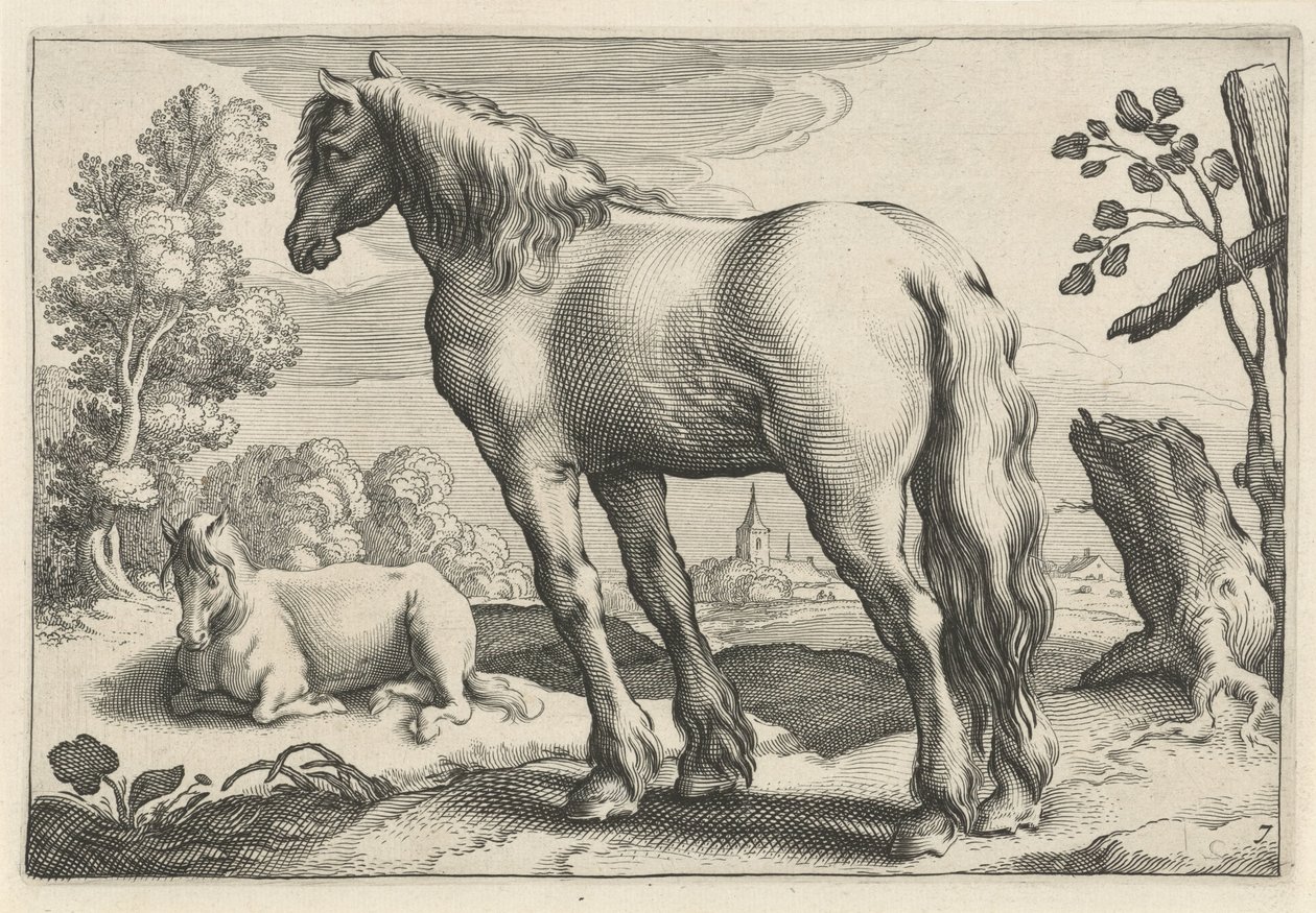 paisaje con dos caballos Diversa Animalia Quadrupedia (título de la serie) de Reinier van Persijn