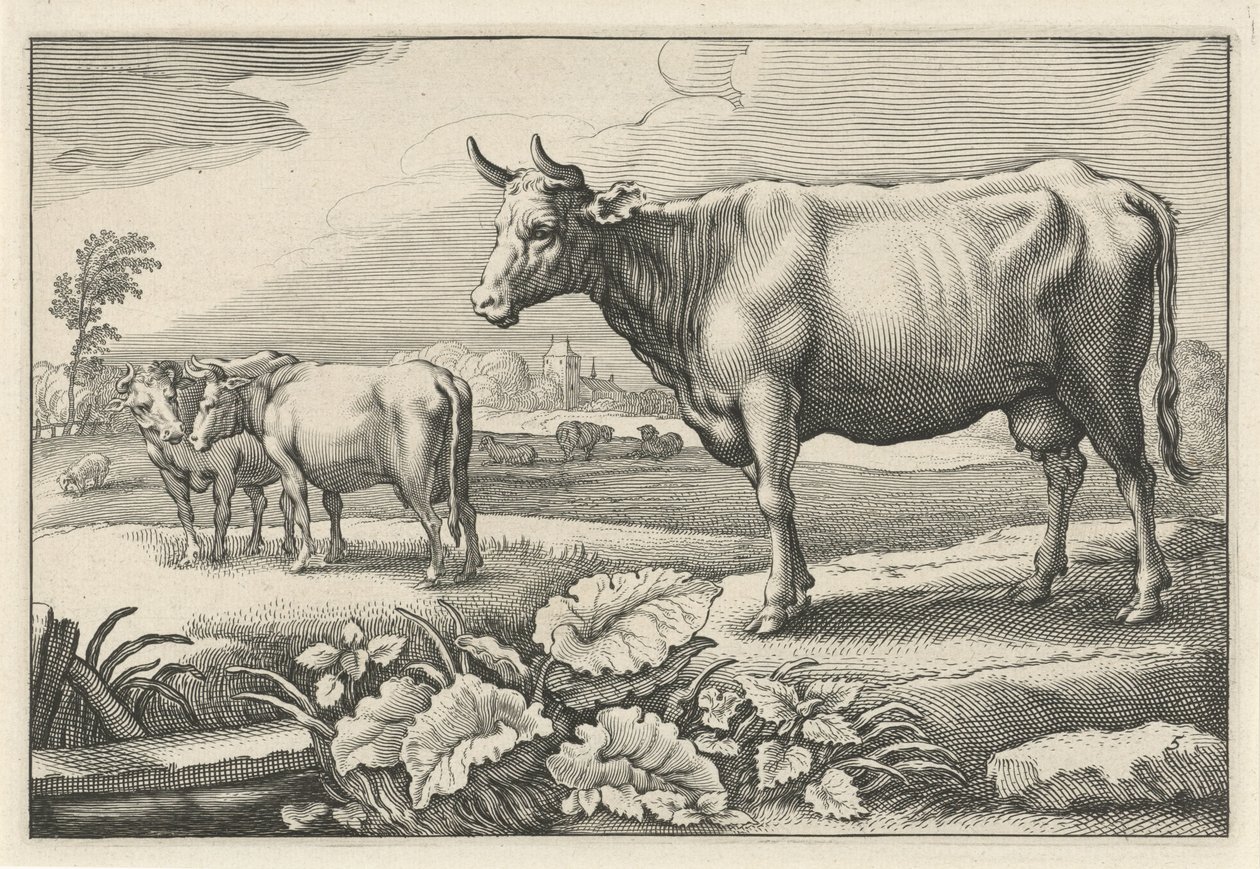 pasto con vacas Diversa Animalia Quadrupedia (título de la serie) de Reinier van Persijn