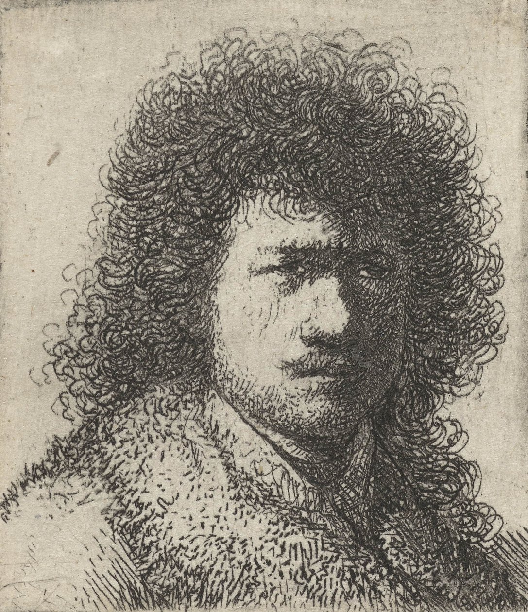 Autorretrato con cabello desordenado, 1628-31 de Rembrandt van Rijn