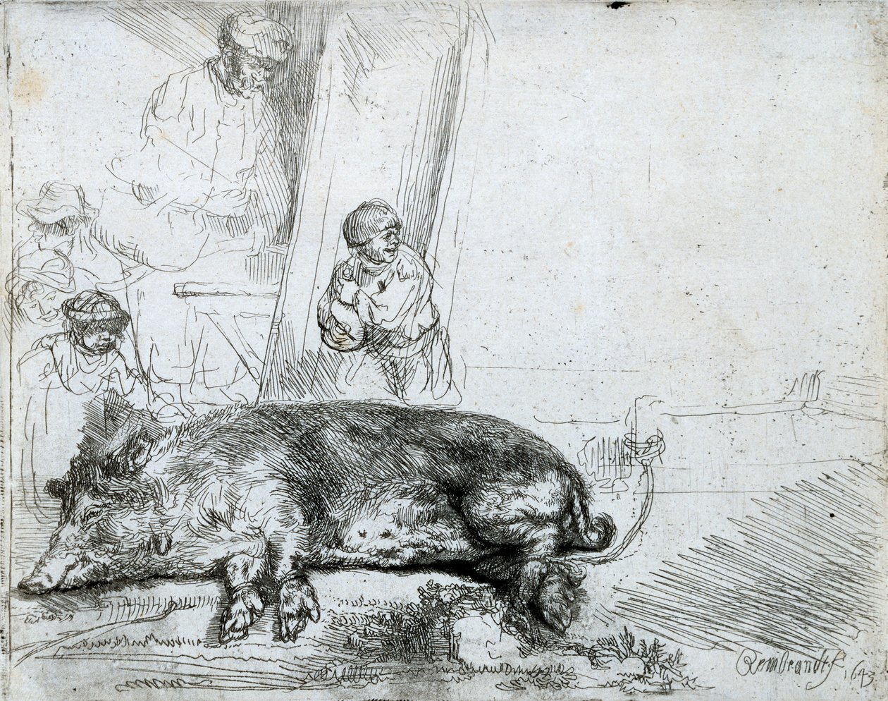 El cerdo, 1643 de Rembrandt van Rijn