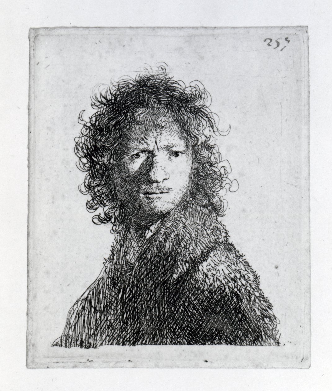 Autorretrato, 1630 de Rembrandt van Rijn