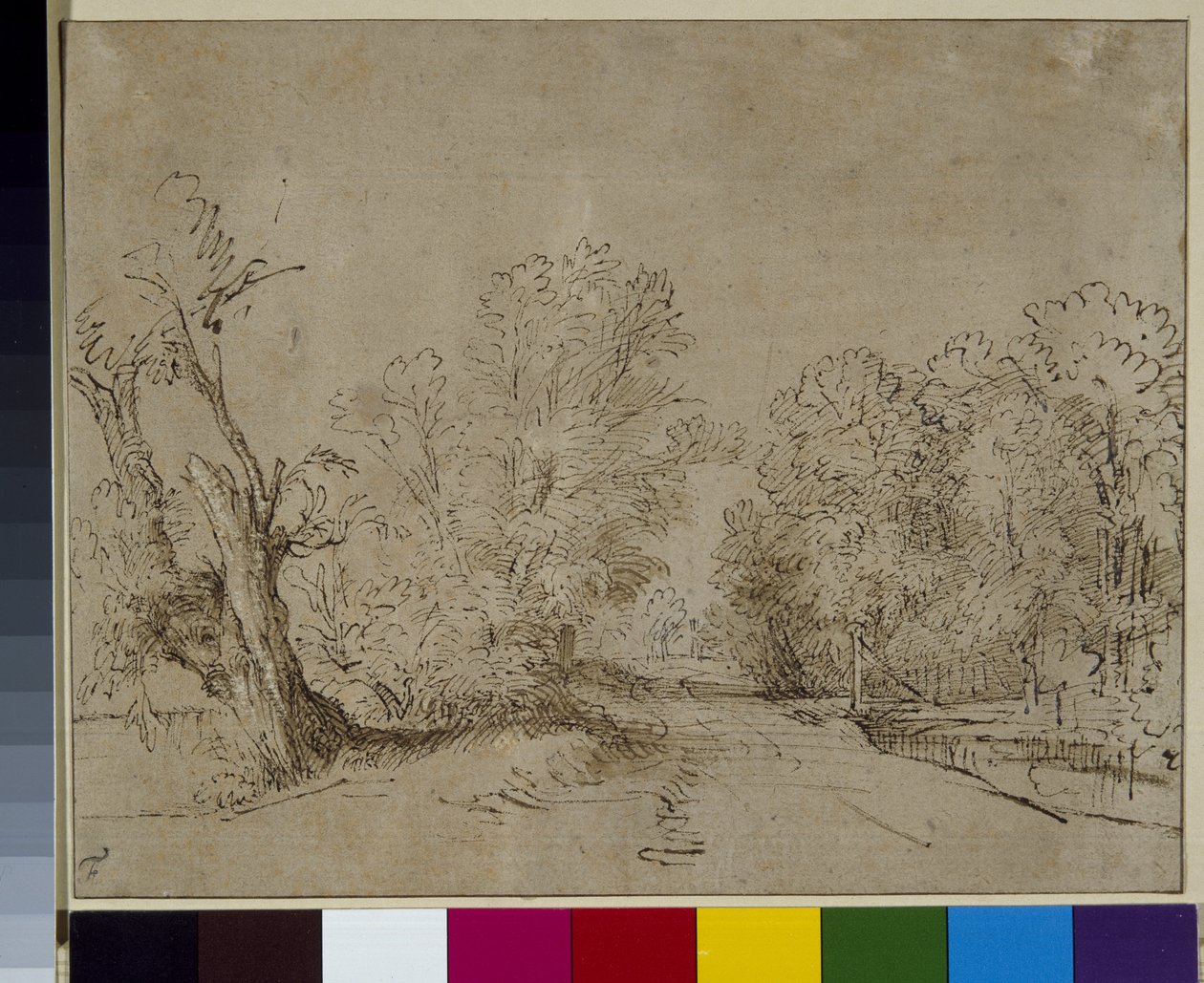 Un camino arbolado, c.1650 de Rembrandt Harmensz. van Rijn