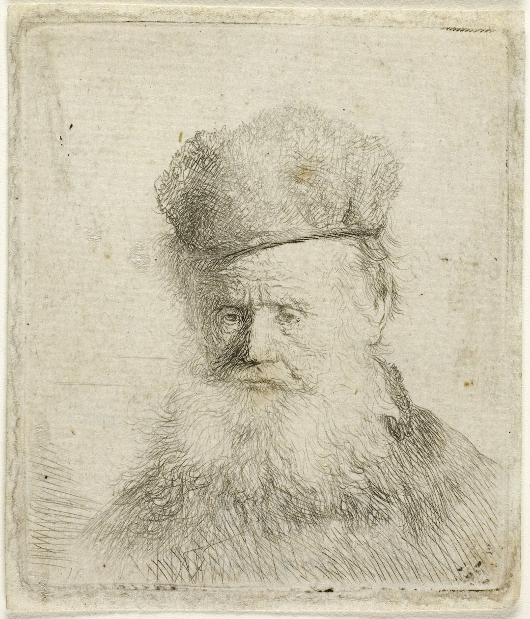 Busto de anciano con gorro de piel y barba poblada, c.1631 (aguafuerte sobre papel) de Rembrandt Harmensz. van Rijn