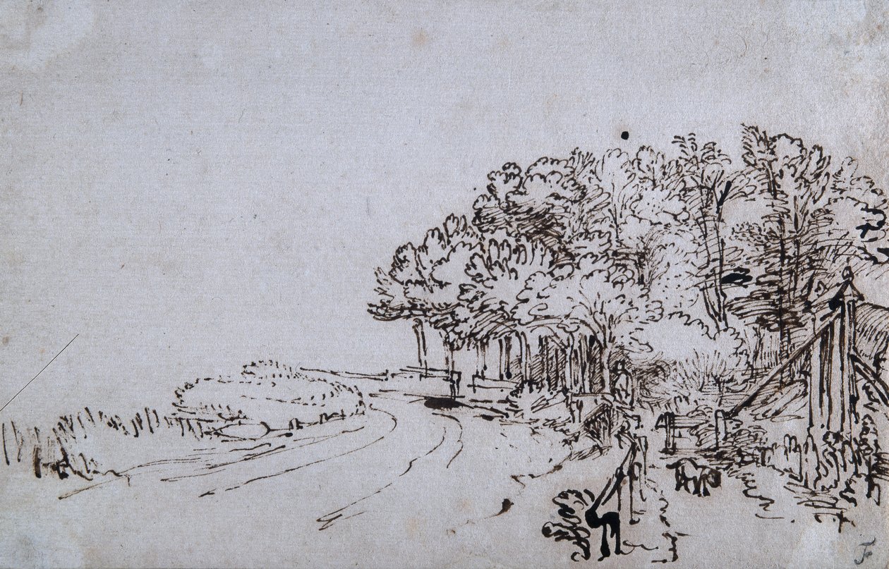 Bosque en la cabecera del Amsteldijk cerca de Trompenburg, c.1649 de Rembrandt Harmensz. van Rijn