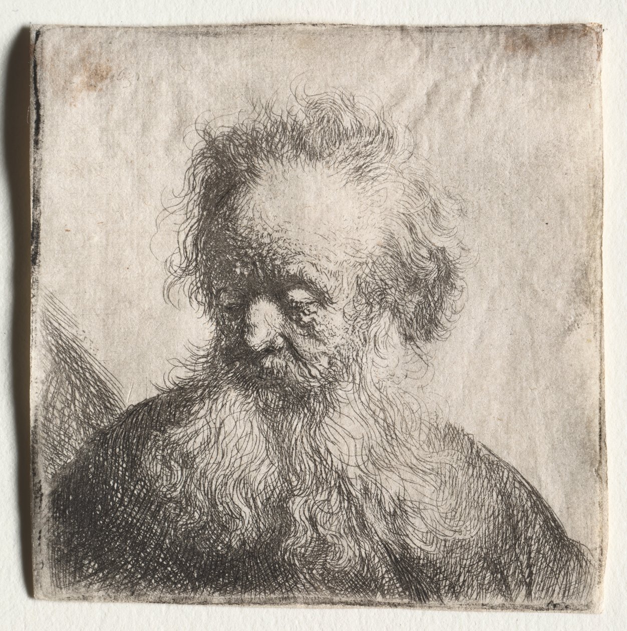 Anciano con barba poblada: Busto de Rembrandt Harmensz. van Rijn