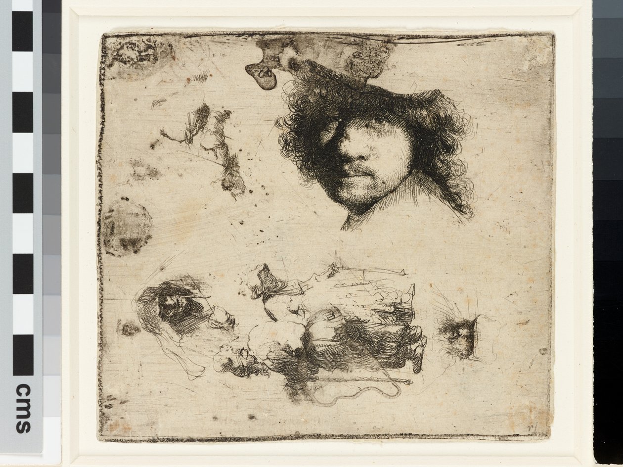 Hoja de estudios de Rembrandt van Rijn