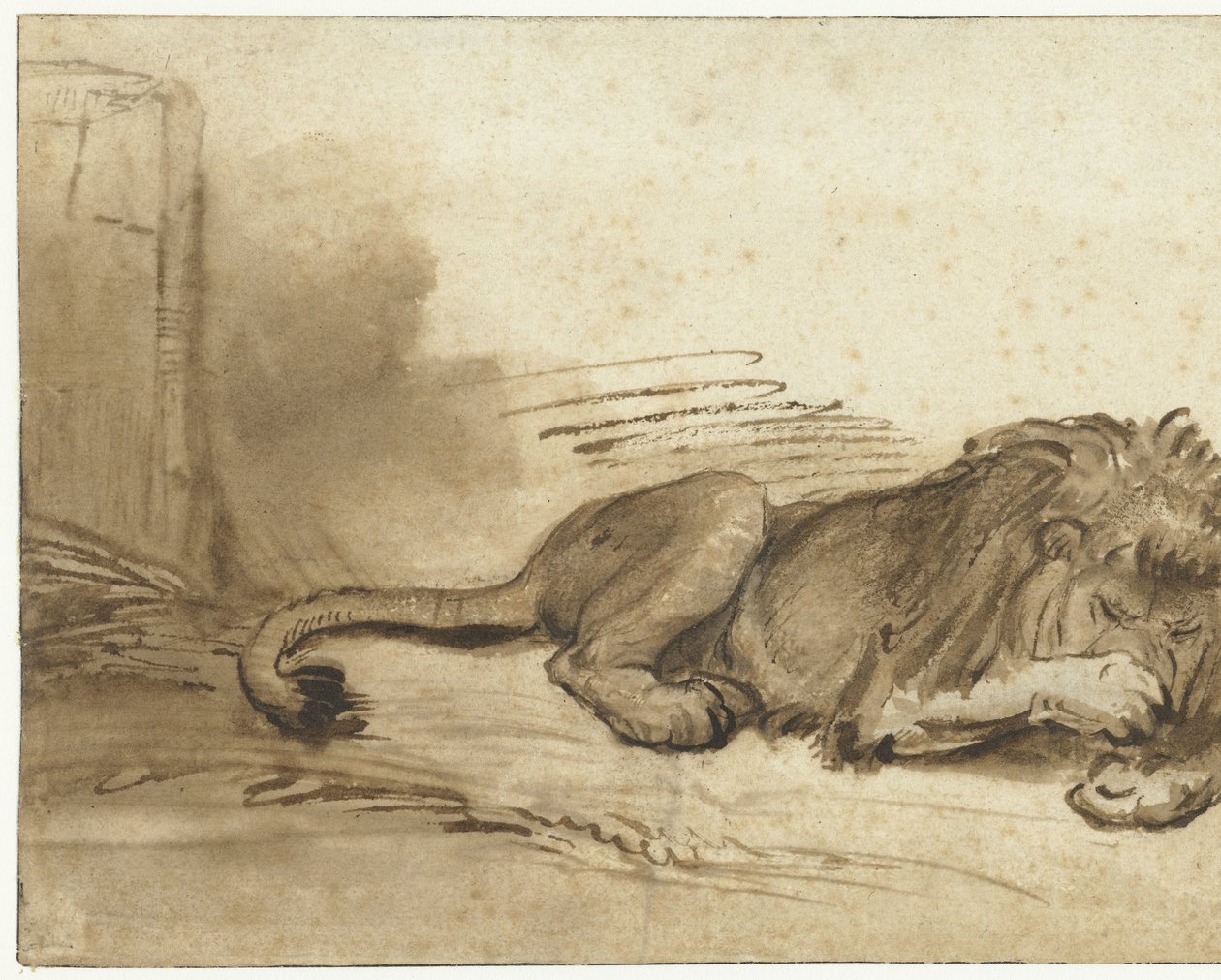 León reclinado con la pata delantera sobre el hocico de Rembrandt van Rijn (school of)