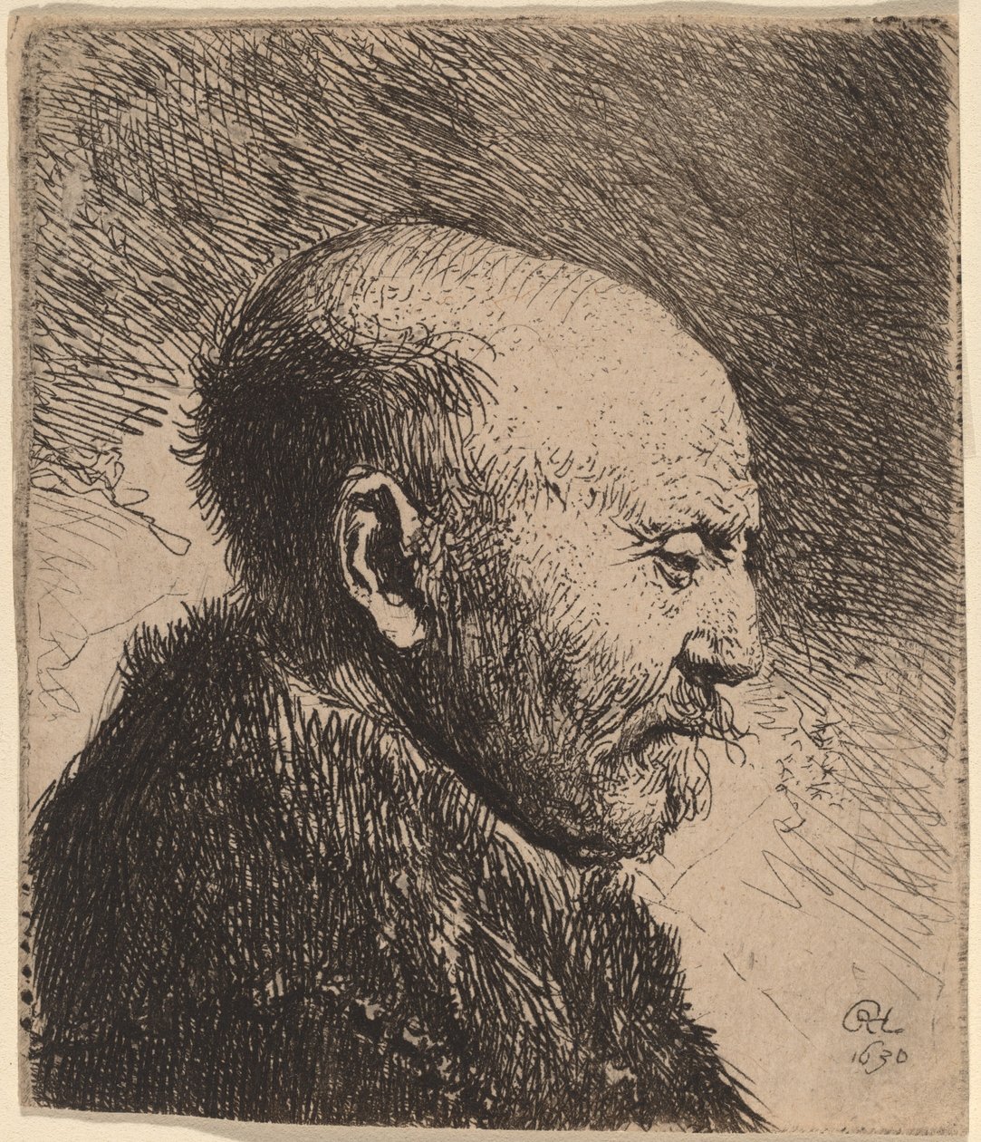 Un Hombre Calvo de Perfil (¿El Padre del Artista?) de Rembrandt van Rijn