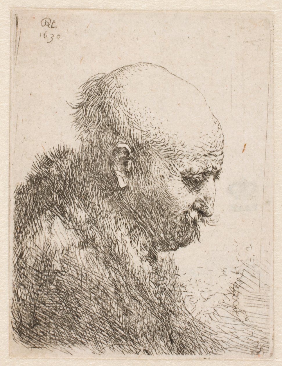 Hombre calvo (¿el padre de Rembrandt) de perfil a la derecha; pequeño busto de Rembrandt van Rijn