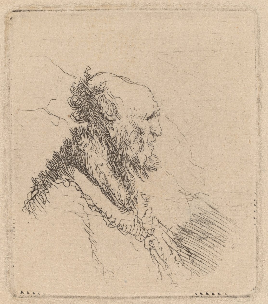 Viejo calvo con barba corta de perfil de Rembrandt van Rijn